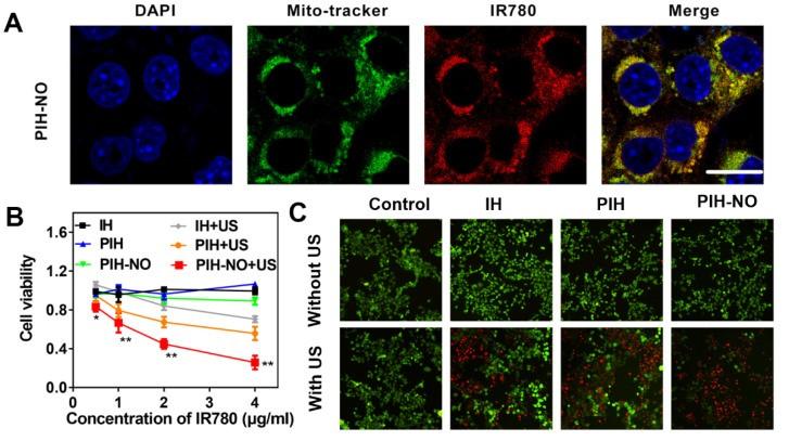 Fig.1 In vitro cell viability of mitochondria-targeted PIH-NO. (OA Literature)