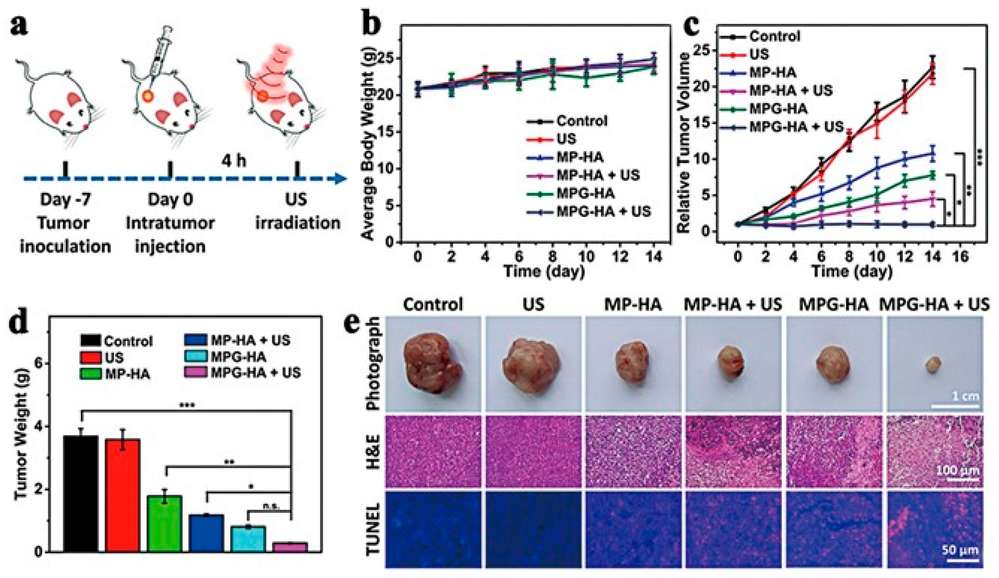 Fig.1 In vivo antitumor effect of MPG-mediated therapy enhancement. (OA Literature)