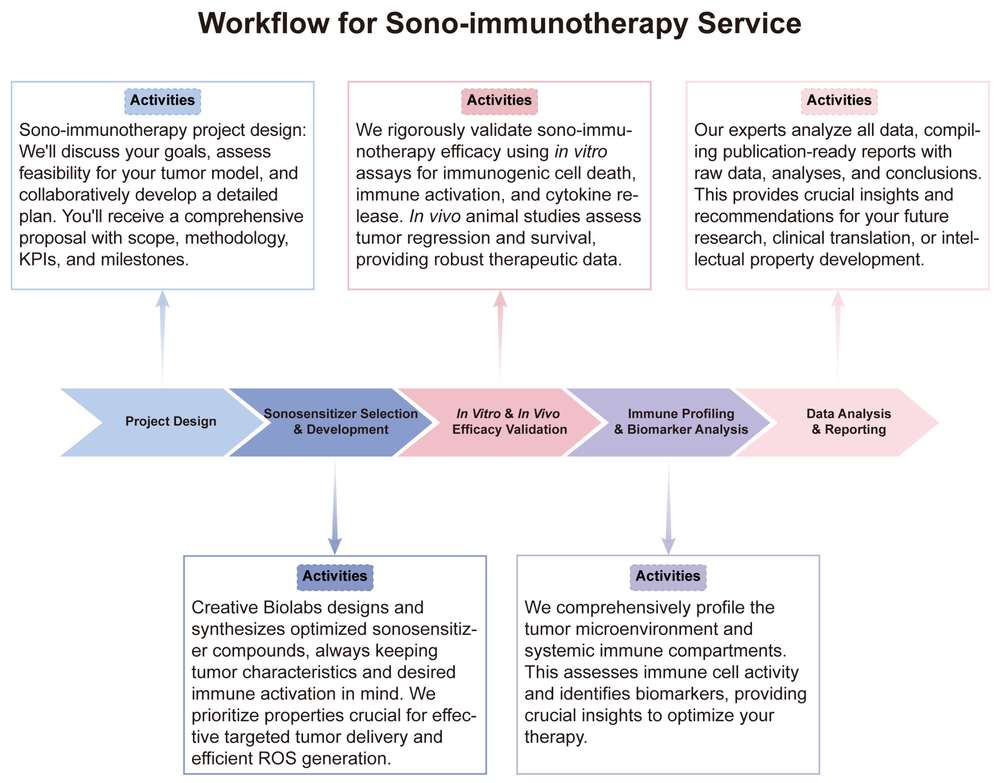 A simple procedure for sono-immunotherapy service. (Creative Biolabs Original)