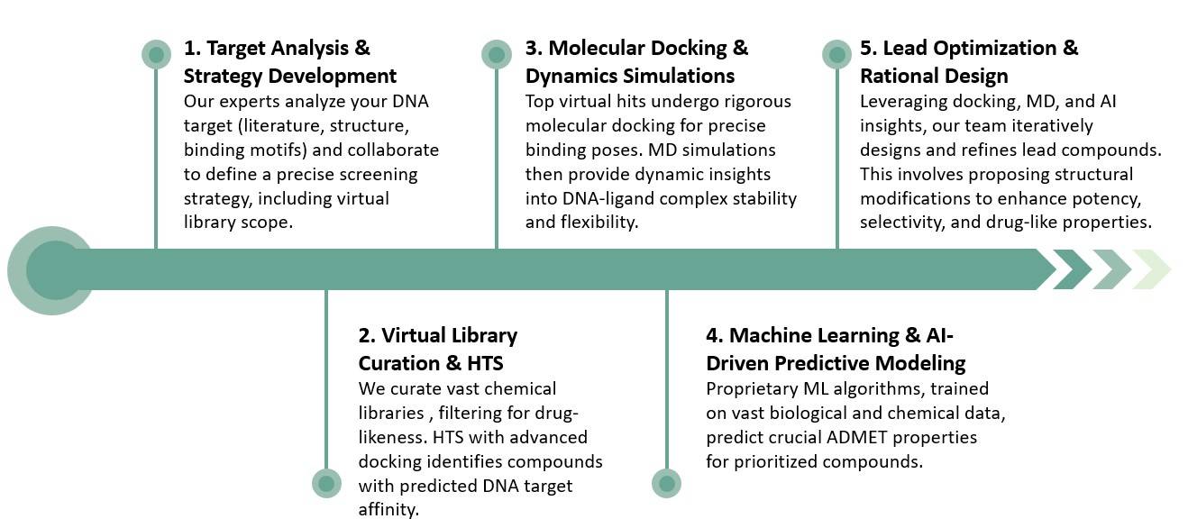 Workflow of computationally designed DNA-intercalating therapeutic development service. (Creative Biolabs Original)