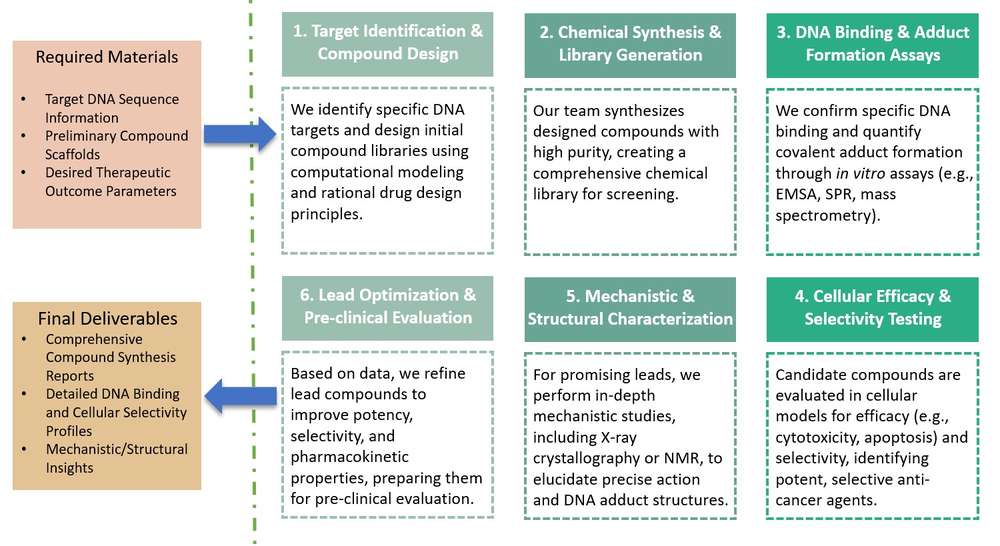 Workflow for end-to-end service developing DNA alkylator therapeutics from discovery to preclinical candidate. (Creative Biolabs Original)