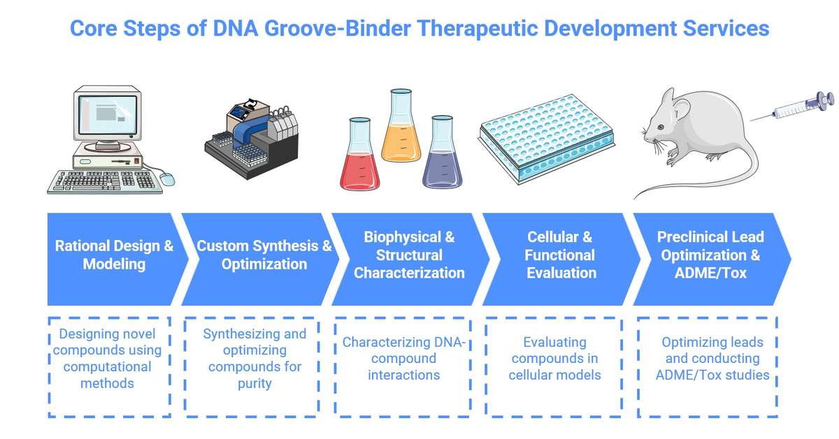 Workflow of computationally designed DNA-targeting therapeutic development service. (Creative Biolabs Original)