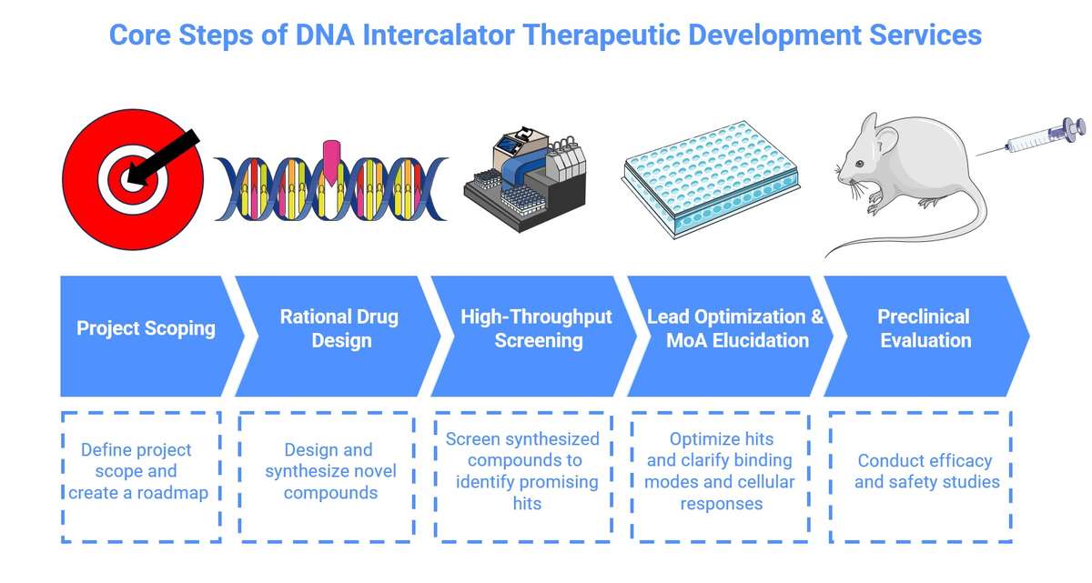 Workflow of computationally designed DNA-intercalating therapeutic development service. (Creative Biolabs Original)