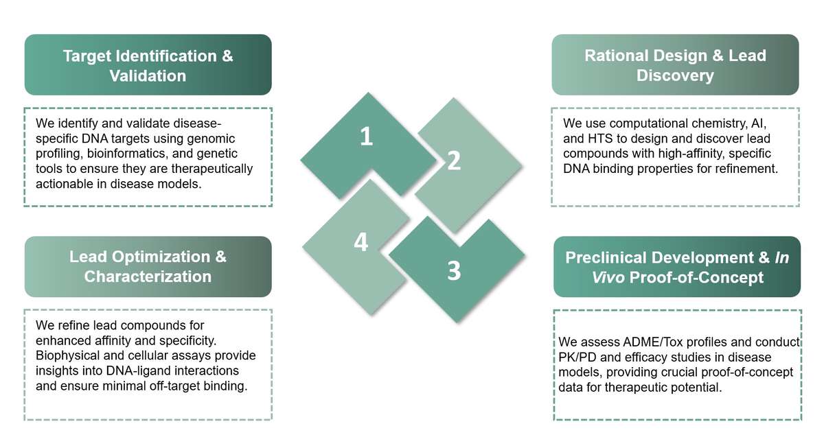 Core steps of MBTDs. (Creative Biolabs Original)