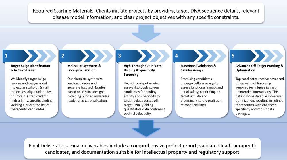 Specialized end-to-end rational design to preclinical pipeline for DNA bulge-targeting therapeutics. (Creative Biolabs Original)