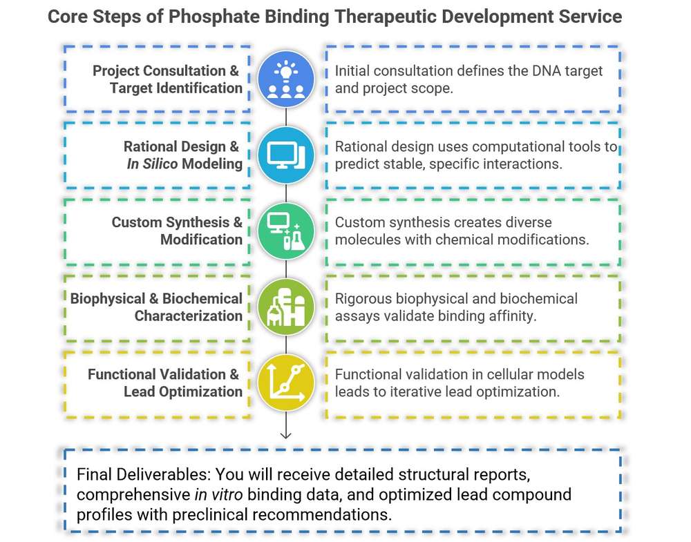Integrated service developing DNA-targeting therapeutics via phosphate backbone modification from design to optimization. (Creative Biolabs Original)