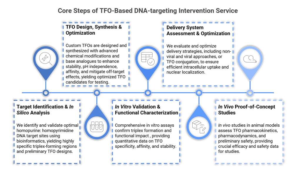 Integrated service developing DNA-targeting therapeutics from target identification through validation and delivery optimization. (Creative Biolabs Original)