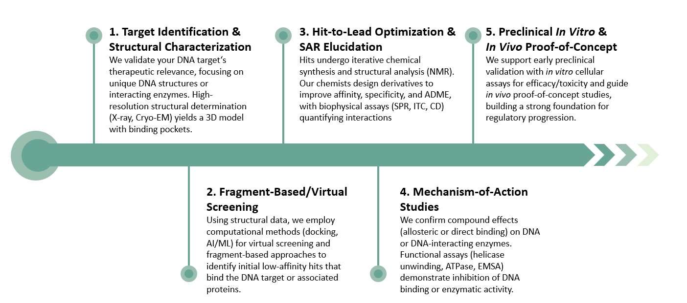 Workflow of structure based therapeutic discovery pipeline from DNA target validation to preclinical proof. (Creative Biolabs Original)