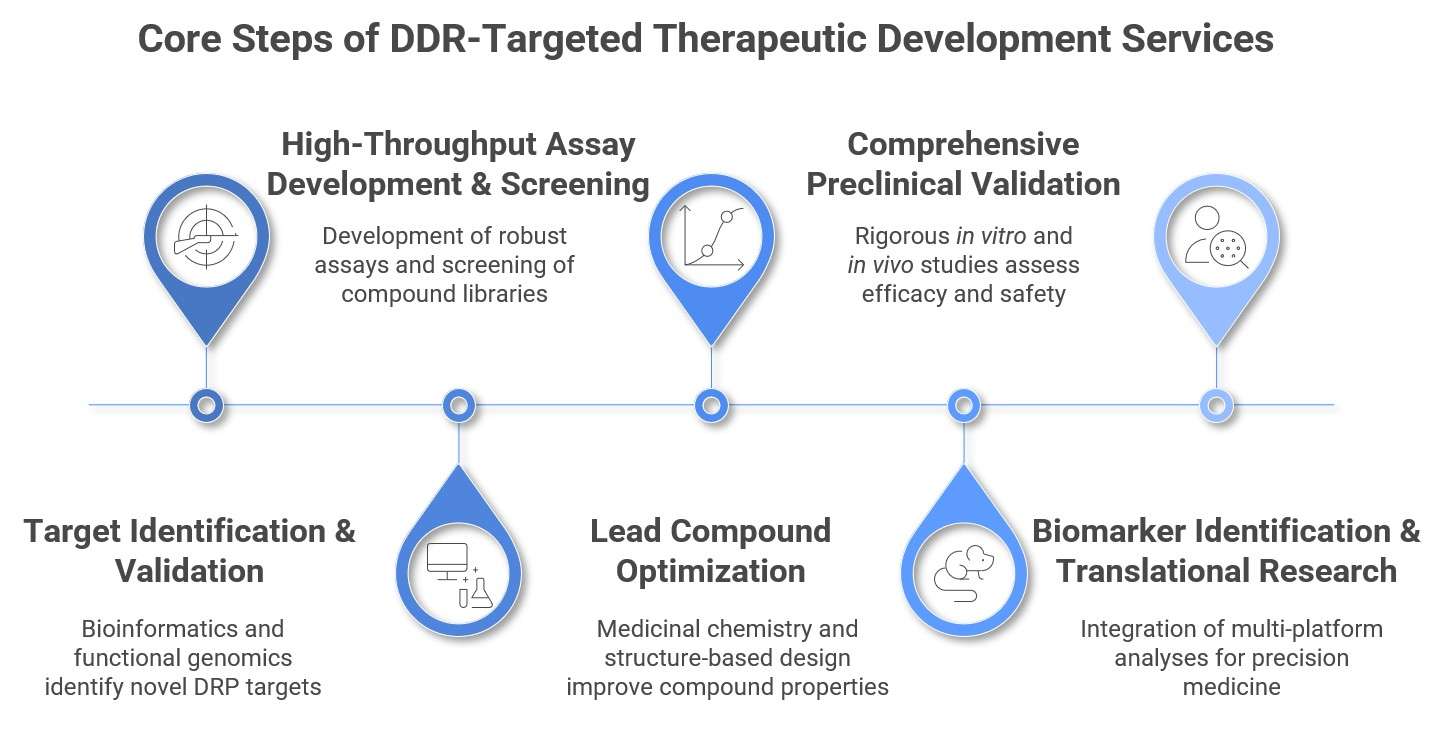 DNA repair-targeted cancer drug discovery, optimization, validation & biomarker strategy. (Creative Biolabs Original)