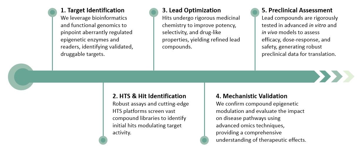 Workflow for validated epigenetic drug leads: from target discovery to bench-ready candidates. (Creative Biolabs Original)