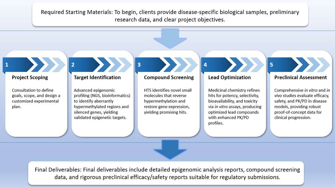 Reset silenced genes: precision workflow yielding clinical-ready hypermethylation reversal leads. (Creative Biolabs Original)