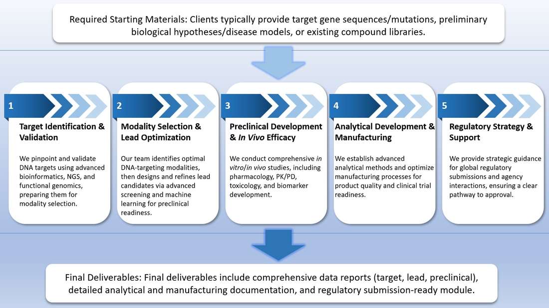 Workflow of DNA drug development from target discovery to regulatory approval. (Creative Biolabs Original)