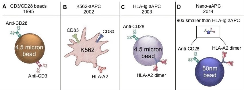 Fig.1 The history and types of APCs. (Neal, et al., 2017)
