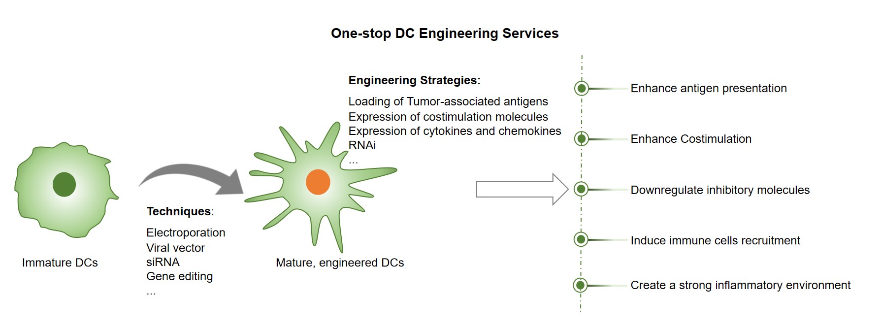 Fig.2 One-stop DC engineering services (Creative Biolabs original)