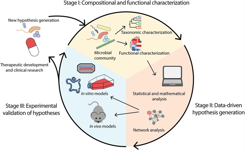 Fig.1 Workflow overview for microbiome analysis.