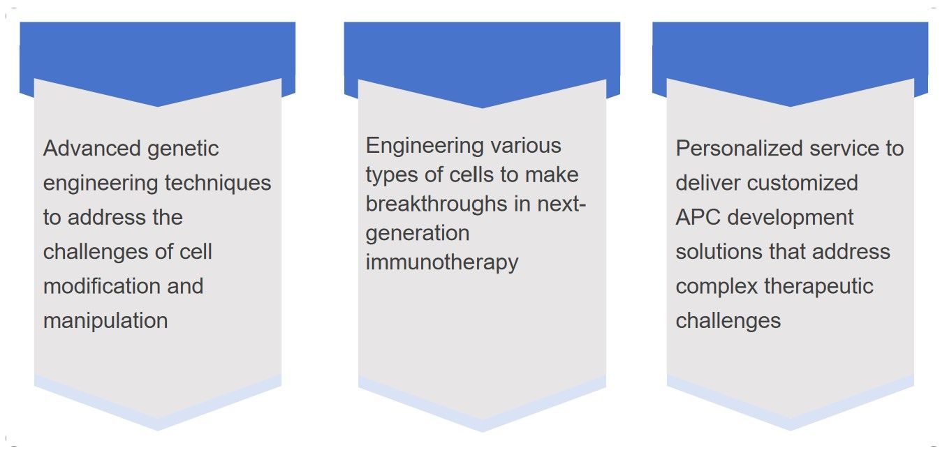 Fig.2 Next-generation Antigen-presenting Cell-based Cancer Immunotherapy Development. (Creative Biolabs Original)