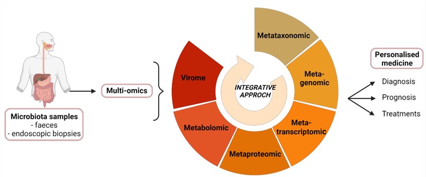 Multi-omics integration approaches. 