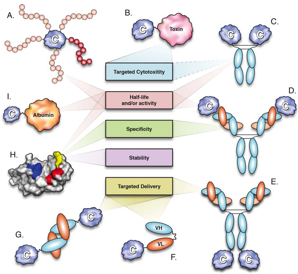Fig.1 Molecular Engineering Strategies. (Vazquez, et al., 2013)