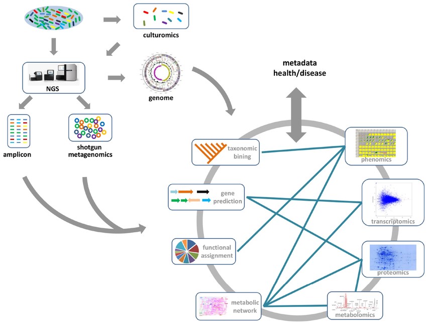 Fig.1 The gene/genome-centered approach for studying the gut microbiome. 
