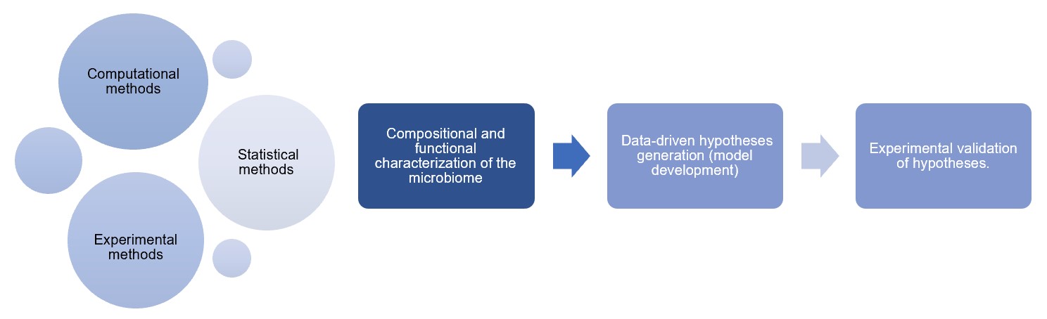 Workflow of our microbiome research. (Creative Biolabs Original)