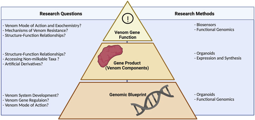 Fig.1 Research problems in venom biotechnology. (Lüddecke, et al., 2023)
