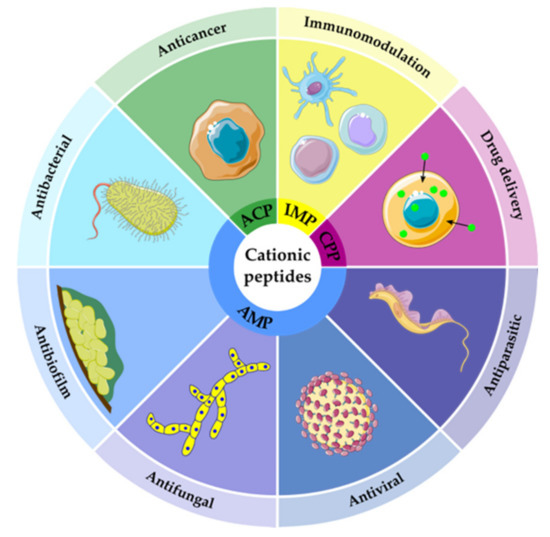 Fig.1 Effects of different venom peptides. (Pérez-Peinado, et al., 2020)