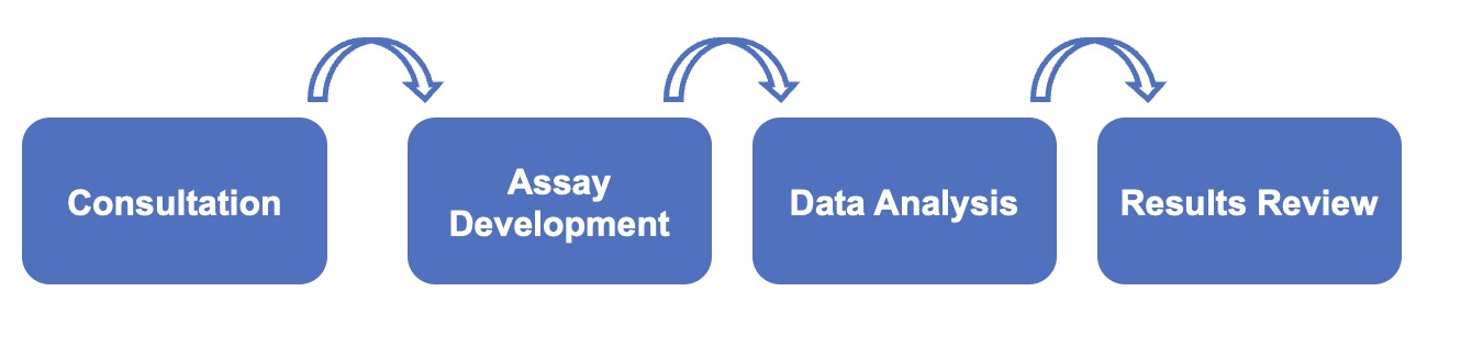 Fig.2 Our toxicological evaluation process. (Creative Biolabs Original)