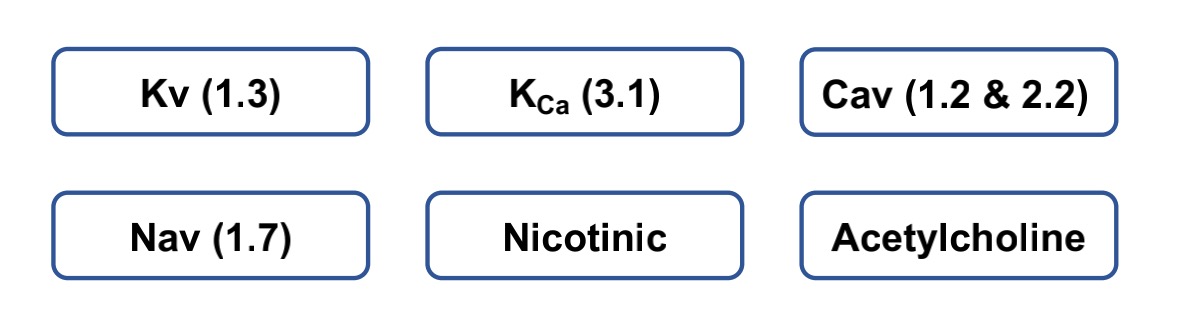 Fig.2 Typical ion channels associated with venom peptides. (Creative Biolabs Original)