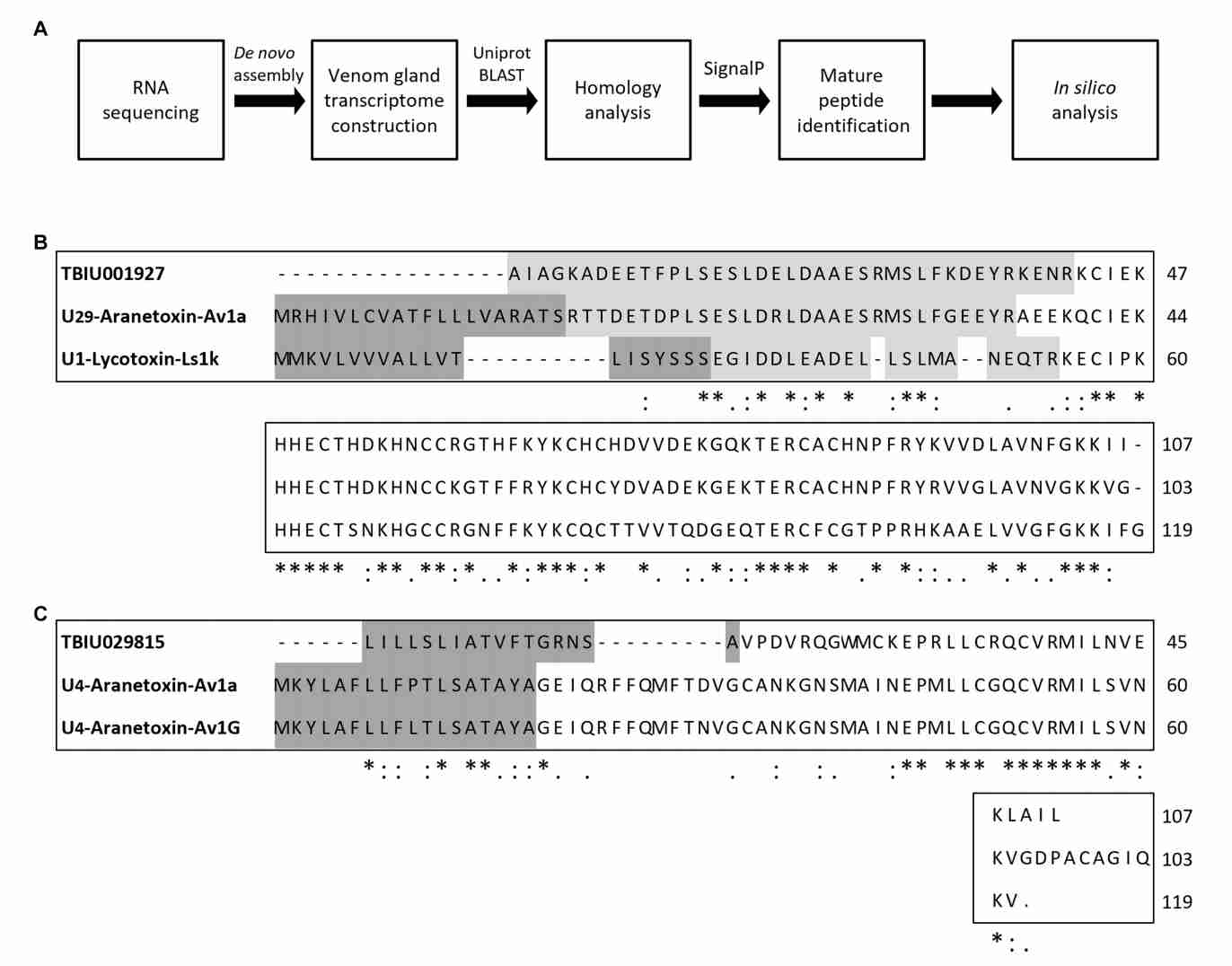 Fig.1 The sequences of some known venom peptides. (Shin, et al., 2023)