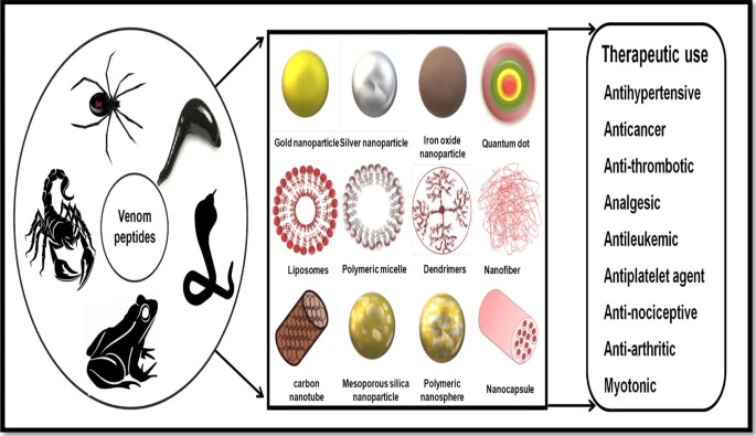 Fig.2 Application of nanoparticle-formulated venom peptides. (Joglekar, et al., 2022)