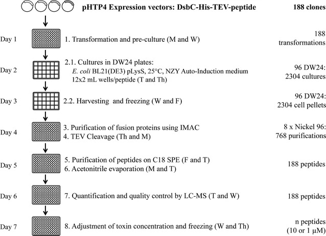 Fig.4 Schematic diagram of high-throughput production of venom peptides in Escherichia coli. (Turchetto, et al., 2017)
