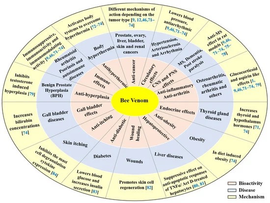 Fig.1 Different therapeutic effects of bee venom. (Khalil, et al., 2021)