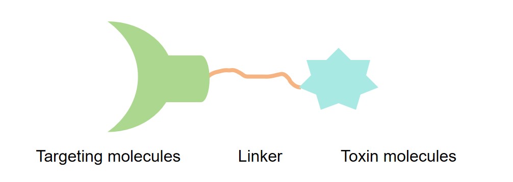 Fig.1 The structure of immunotoxin. (Creative Biolabs original)