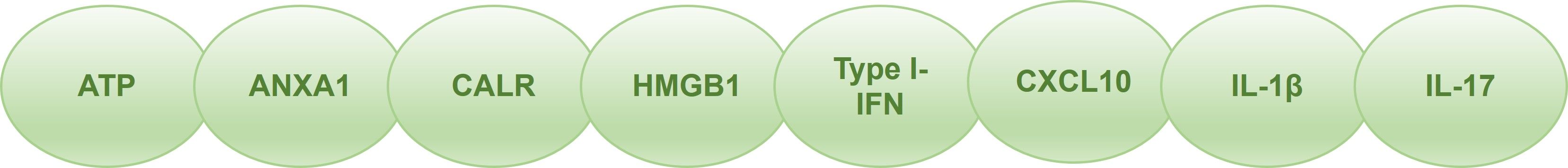 Fig. 3 Hot ICD biomarkers for inducer development. (Creative Biolabs Original)