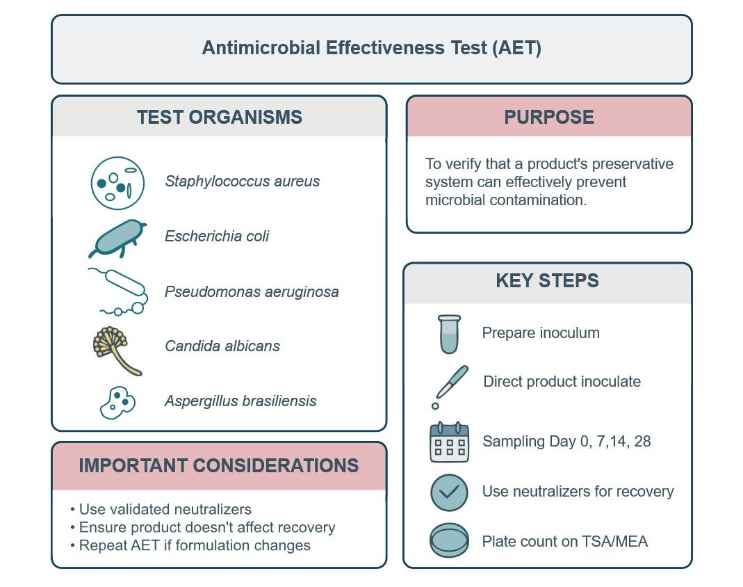 What we can offer in AET service. (Creative Biolabs Original)
