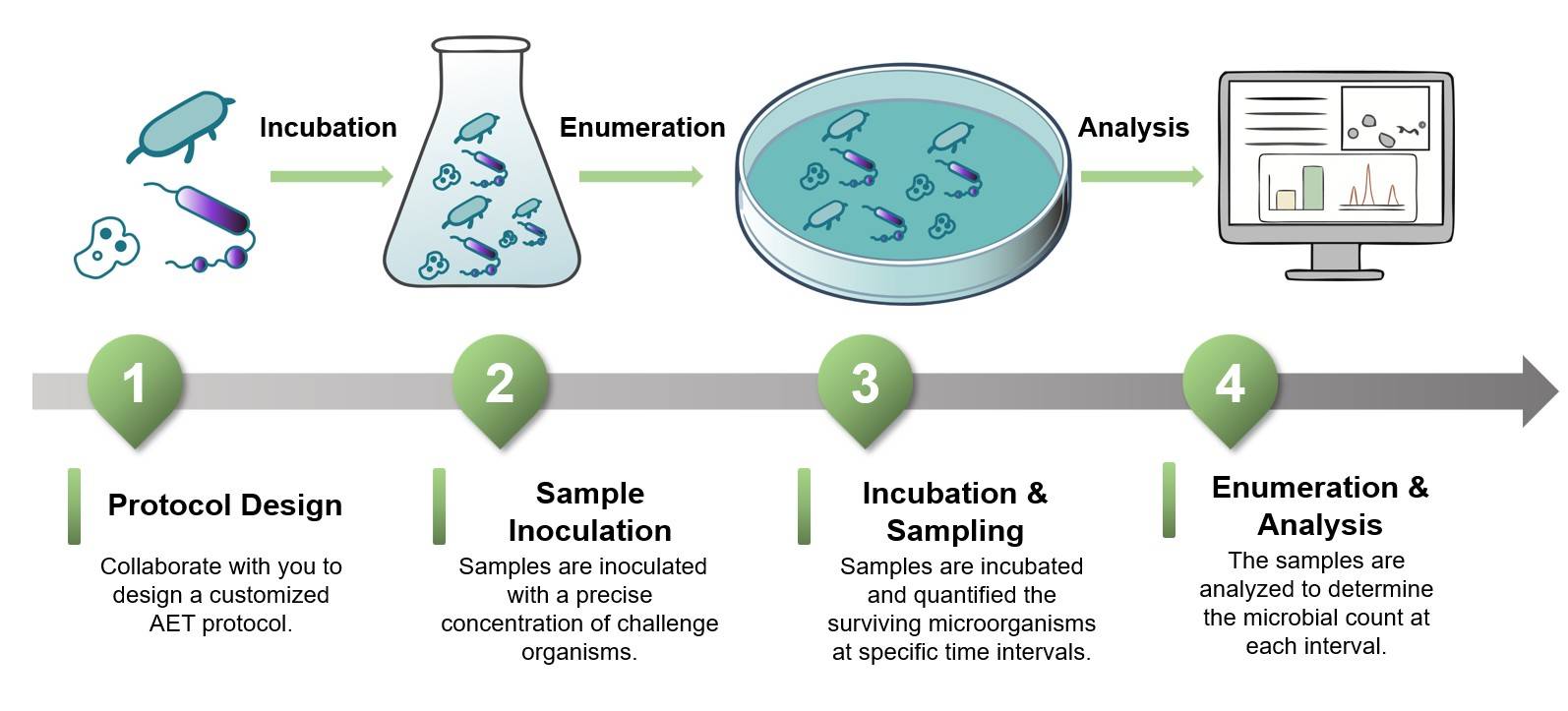 Core steps of AET service. (Creative Biolabs Original)