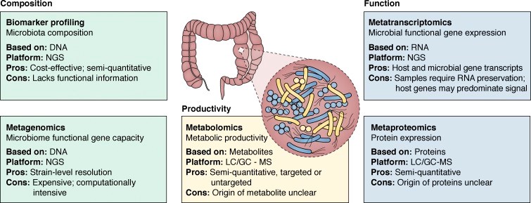 Tools for analyses of the human gut microbiome.