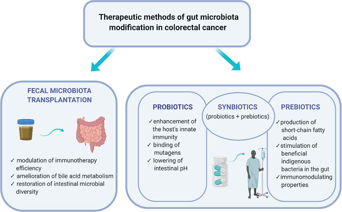 Therapeutic methods of gut microbiota modification in CRC. 