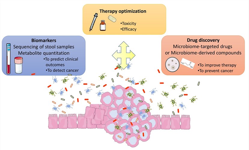 Fig.1 Leveraging the intestinal microbiome for improved cancer patient management.