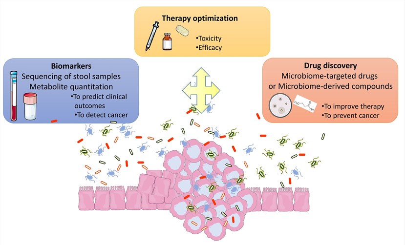 Intestinal microbiome for better management of cancer patients.