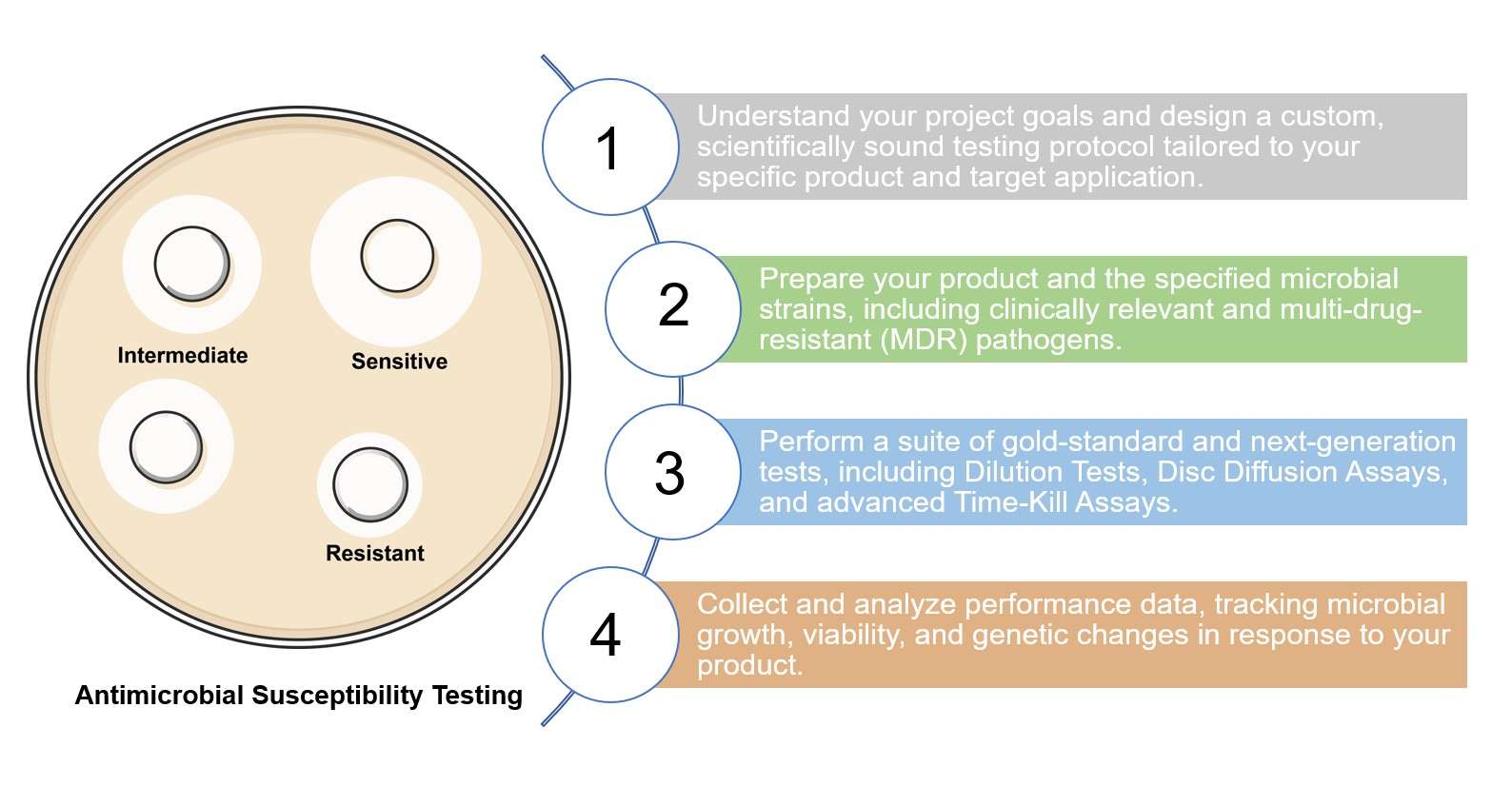 Core steps of AST service. (Creative Biolabs Original)