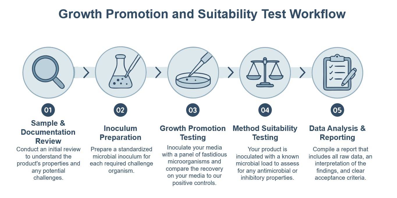Core steps of growth promotion and suitability test service. (Creative Biolabs Original)