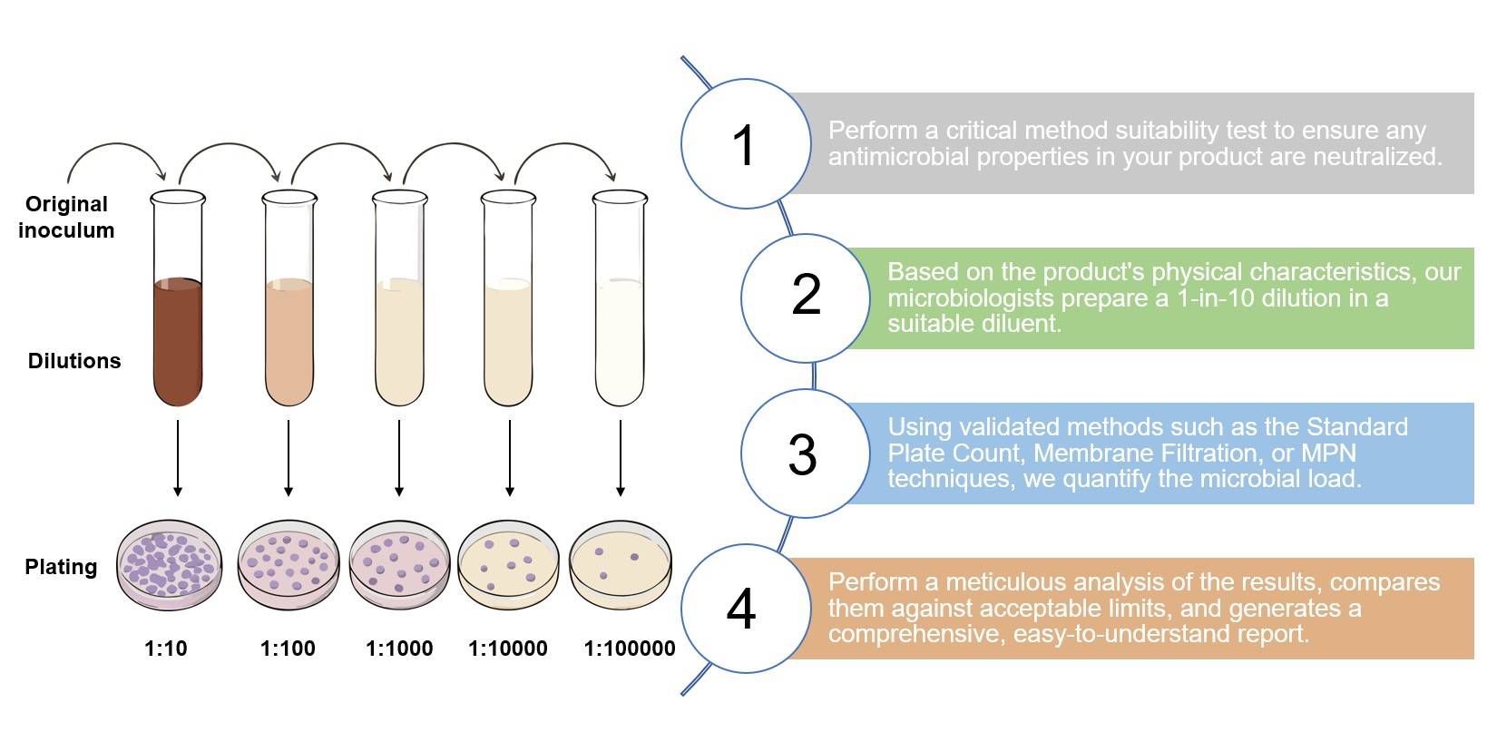 Core steps of microbial enumeration test service. (Creative Biolabs Original)