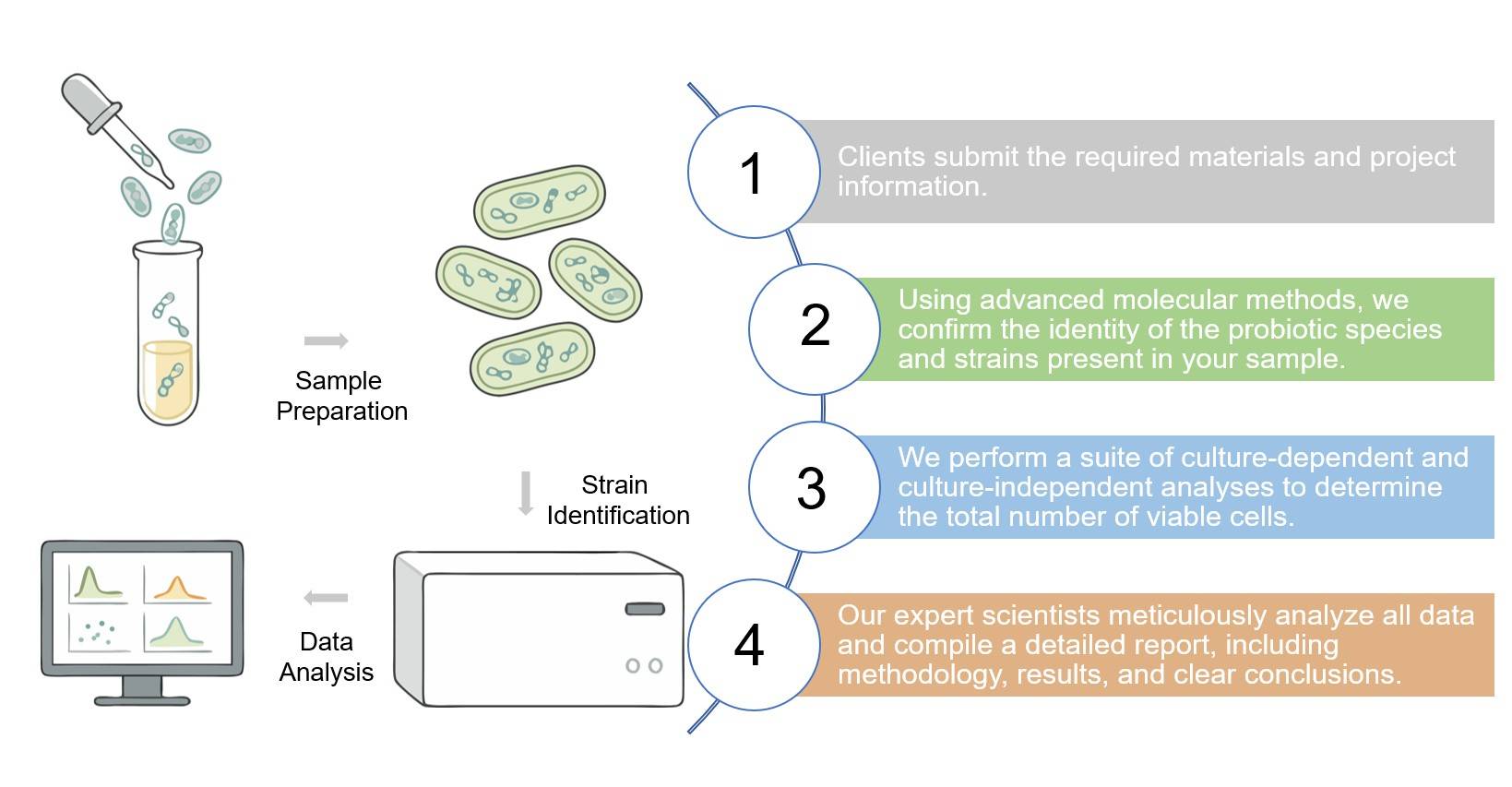 Core steps of probiotic test service. (Creative Biolabs Original)