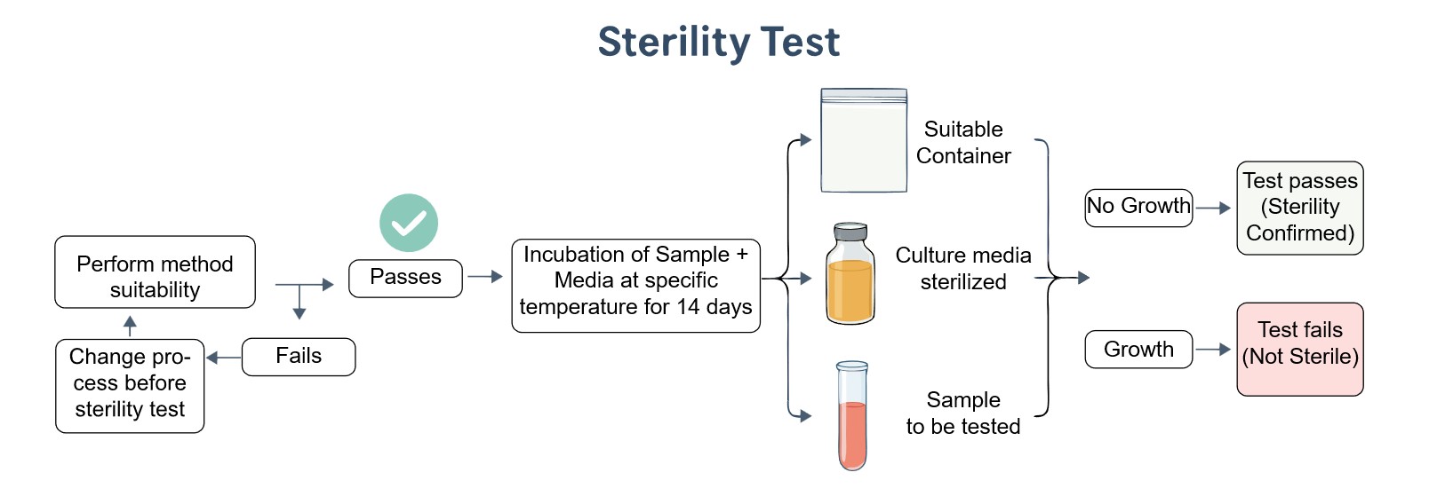 Core steps of sterility test service. (Creative Biolabs Original)