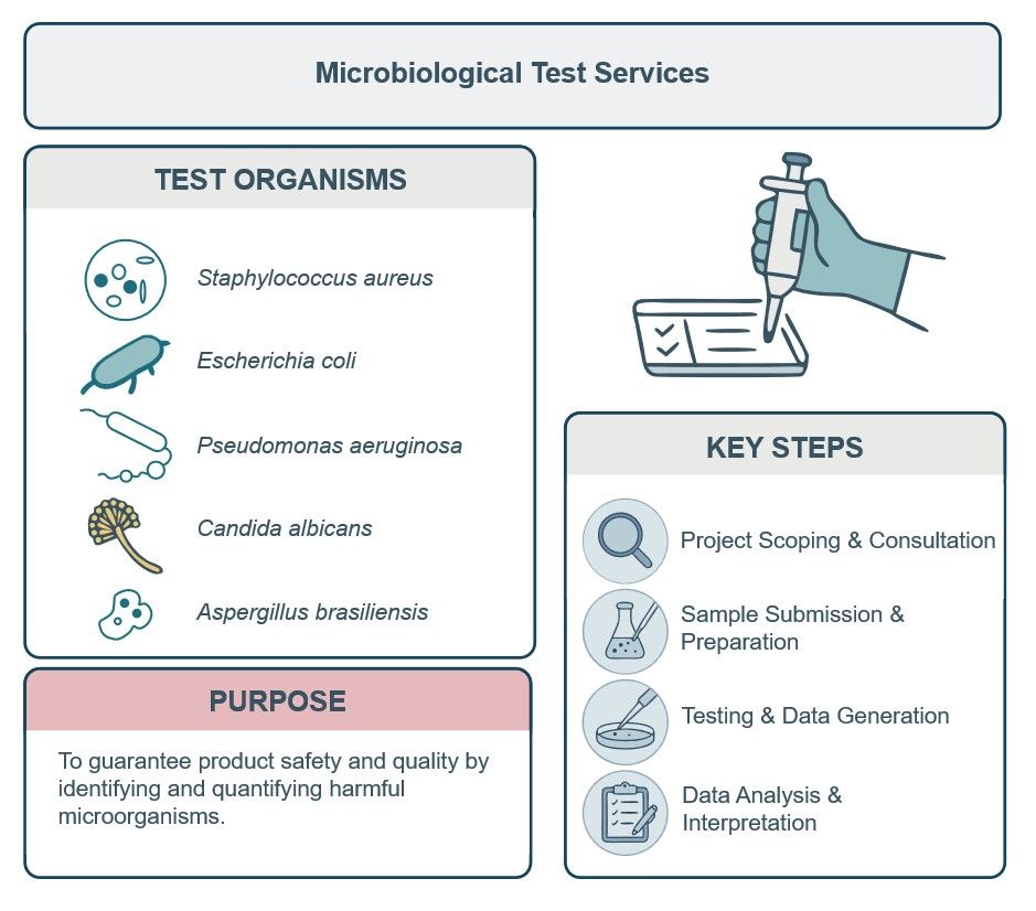 What we can offer in microbiological test service. (Creative Biolabs Original)