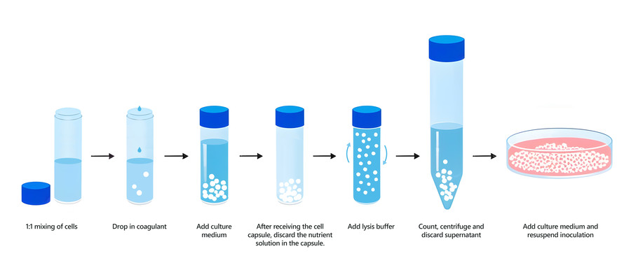 Fig.1 Product workflow. (Creative Biolabs Original)