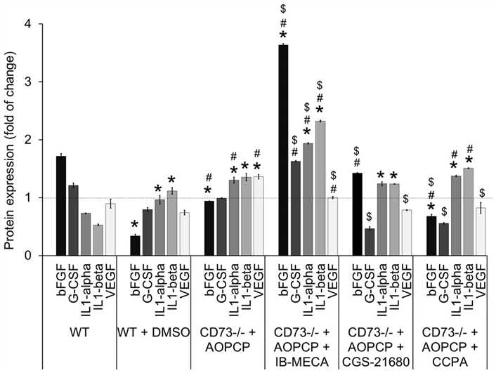 Fig.4 Stimulation of A3 adenosine receptors increases tumor infiltration of macrophages. (Koszałka, et al., 2016)