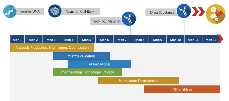 Fig.5 Program plan. (Creative Biolabs Original)