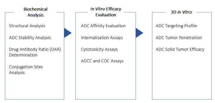 Our end-to-end ADC analytical characterization and validation services.